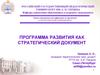 Программа развития как стратегический документ