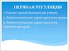 Нервная регуляция