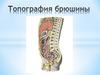 Топография брюшины