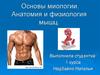 Основы миологии. Анатомия и физиология мышц