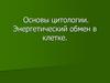 Основы цитологии. Энергетический обмен в клетке