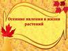 Осенние явления в жизни растений