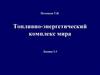 Топливно-энергетический комплекс мира