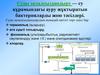 Суды залалсыздандыру - су құрамындағы ауру жұқтыратын бактерияларды жою тәсілдері