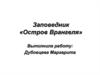 Заповедник «Остров Врангеля»