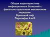 Инфекционные заболевания с фекально-оральным механизмом передачи. (Лекция 2)