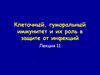 Клеточный, гуморальный иммунитет и их роль в защите от инфекций