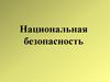 Национальная безопасность