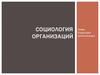 Социология организаций. Структура организации