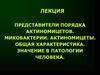 Представители порядка актиномицетов. Микобактерии. Актиномицеты. Общая характеристика. Значение в патологии человека