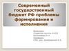 Современный государственный бюджет РФ, проблемы формирования и исполнения