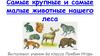 Самые крупные и самые малые животные нашего леса