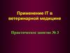 Применение IT в ветеринарной медицине