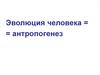 Эволюция человека - антропогенез. Происхождение человека