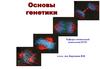 Основы генетики