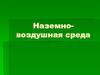 Наземно-воздушная среда. Экологические адаптации организмов к световому режиму. Распределение солнечной энергии