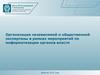Организация независимой и общественной экспертизы в рамках мероприятий по информатизации органов власти