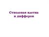 Стволовая клетка и дифферон