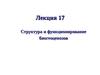 Лекция 17. Структура и функционирование биогеоценозов