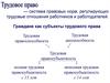 Граждане как субъекты трудового права