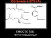 Органика в ЕГЭ (А)