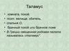 Таламус. Ядра таламуса
