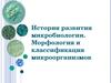 Развитие микробиологии. Морфология и классификация микроорганизмов