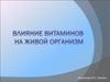Влияние витаминов на живой организм
