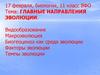 Главные направления эволюции