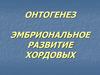 Онтогенез. Эмбриональное развитие хордовых