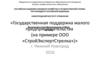 Государственная поддержка малого предпринимательства. ООО «СтройЭкспертСтрелка»