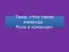 Что такое команда. Роли в команде. (Тема 7)