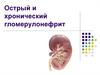 Острый и хронический гломерулонефрит