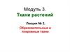 Образовательные и покровные ткани растений