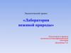 Экологический проект «Лаборатория неживой природы»