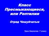 Класс Пресмыкающиеся, или Рептилии