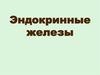 Эндокринные железы
