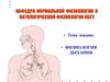 Физиология дыхания
