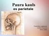 Paura kauls os parietale