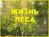 Жизнь леса