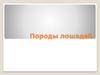 Породы лошадей