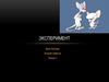 Что такое эксперимент