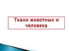 Ткани животных и человека