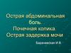 Острая абдоминальная боль. Почечная колика. Острая задержка мочи