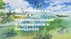 Экологическая ниша и взаимоотношения организмов в биоценозе