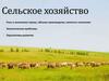 Сельское хозяйство. Роль в экономике страны, объемы производства, занятость населения. Перспективы развития