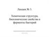 Химическая структура, биохимические свойства и ферменты бактерий