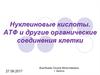 Нуклеиновые кислоты. АТФ и другие органические соединения клетки