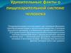 Удивительные факты о пищеварительной системе человека