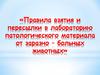 Правила взятия и пересылки в лабораторию патологического материала от заразно – больных животных